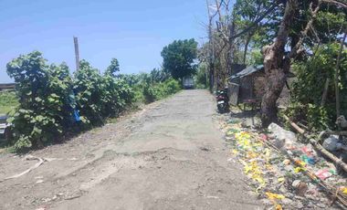 Tanah Langka Ocean View 5 menit dari pelabuhan Sanur