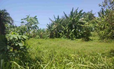 Tanah Langka Ocean View 5 menit dari pelabuhan Sanur