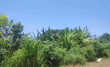 Tanah Langka Ocean View 5 menit dari pelabuhan Sanur