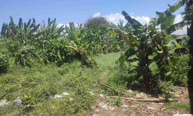 Tanah Langka Ocean View 5 menit dari pelabuhan Sanur