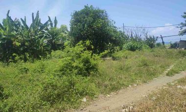Tanah Langka Ocean View 5 menit dari pelabuhan Sanur