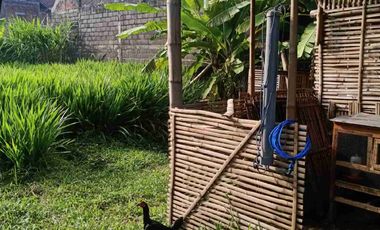 Dijual Lahan Usaha Berikut Rumah di pinggir Jalan raya Kertosono,kota Kediri , Tulungagung Jawa Timur