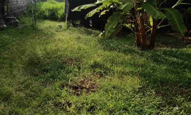 Dijual Lahan Usaha Berikut Rumah di pinggir Jalan raya Kertosono,kota Kediri , Tulungagung Jawa Timur