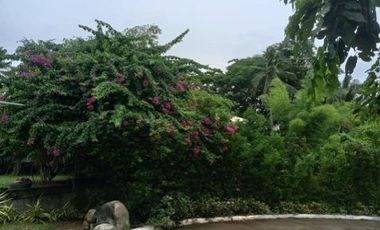 Beach House for Sale – Camotes Island, Cebu