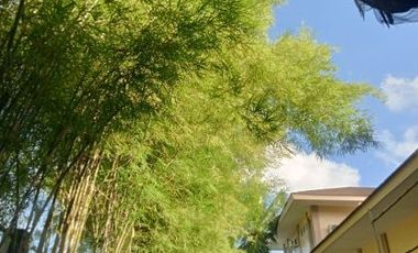 Beach House for Sale – Camotes Island, Cebu