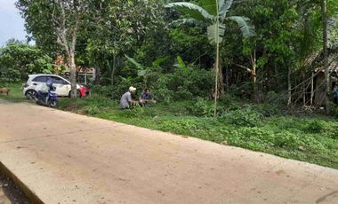 Tanah Pinggir Jalan Cor Di Baros Serang Banten Dekat Kampus Untirta