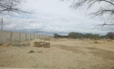 VENTA TERRENO INDUSTRIAL EN PISTA CARRETERA PIURA SULLANA KM8 LADO IZQUIERDO