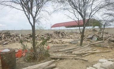 VENTA TERRENO INDUSTRIAL EN PISTA CARRETERA PIURA SULLANA KM8 LADO IZQUIERDO