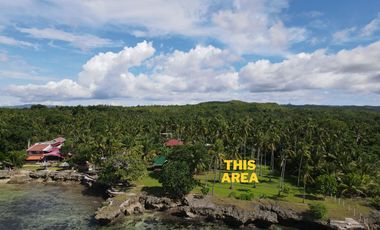 Beach Cliff Lot for Sale with Native House – Camotes Island, Cebu