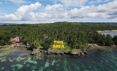 Beach Cliff Lot for Sale with Native House – Camotes Island, Cebu