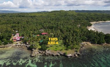 Beach Cliff Lot for Sale with Native House – Camotes Island, Cebu