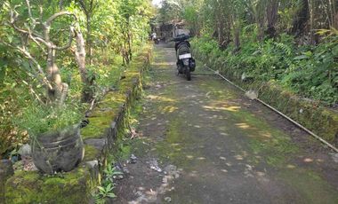 Dijual Tanah Murah SHM pekarangan di Bangunrejo Tempel