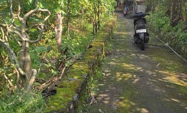 Dijual Tanah Murah SHM pekarangan di Bangunrejo Tempel