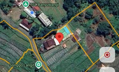 HOMESTAY, Segobang – Licin, Banyuwangi