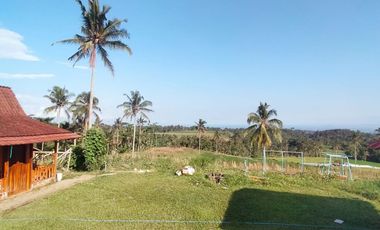 HOMESTAY, Segobang – Licin, Banyuwangi