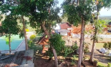 HOMESTAY, Segobang – Licin, Banyuwangi