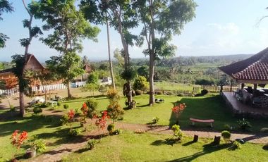 HOMESTAY, Segobang – Licin, Banyuwangi