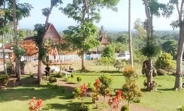 HOMESTAY, Segobang – Licin, Banyuwangi