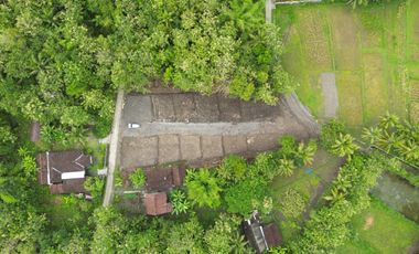 Tanah Arah Bandara Jogja: 1 JUTAAN