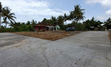 Tanah Murah Jogja Dekat UAD 6: 1 JUTAAN