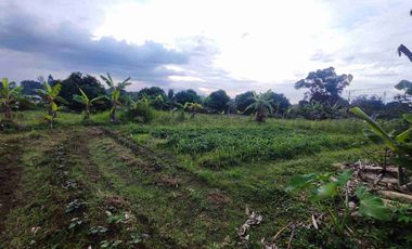 5000m SEWA MURAH BSD SERPONG BINTARO JELUPANG PARIGI LENGKONG TANGERANG