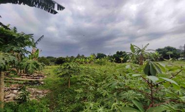 5000m SEWA MURAH BSD SERPONG BINTARO JELUPANG PARIGI LENGKONG TANGERANG