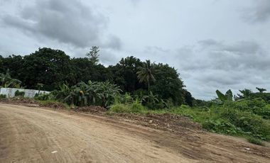 BACOLOD CITY LOT FOR SALE