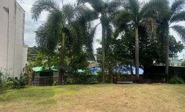 REV-429 Philam Homes House and Lot FOR SALE