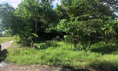 BACOLOD CITY LOT FOR SALE