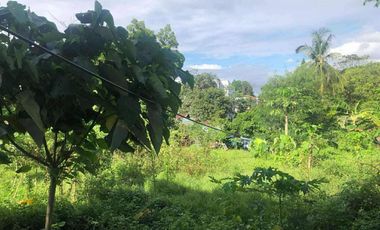 BACOLOD CITY LOT FOR SALE