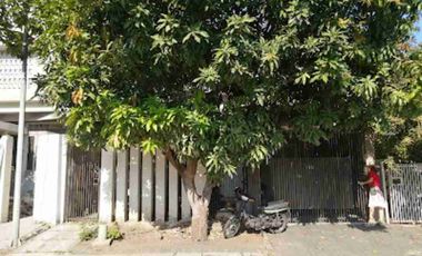 Dijual Rumah Citra Garden Jalan Utama Full Furnished Tinggal Bawa Koper