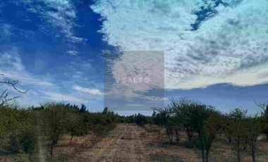 PARCELAS PLANAS NO INUNDABLES  CON ROL PROPIO VENTA AL CONTADO O CREDITO DIRECTO