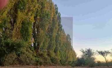 PARCELAS PLANAS NO INUNDABLES  CON ROL PROPIO VENTA AL CONTADO O CREDITO DIRECTO