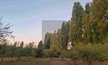 PARCELAS PLANAS NO INUNDABLES  CON ROL PROPIO VENTA AL CONTADO O CREDITO DIRECTO