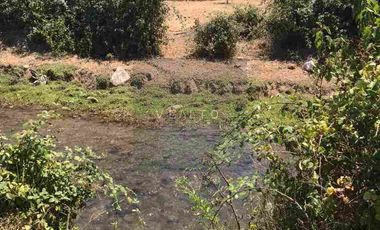 PARCELAS PLANAS NO INUNDABLES  CON ROL PROPIO VENTA AL CONTADO O CREDITO DIRECTO