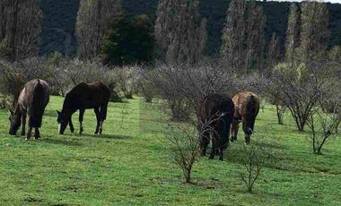 PARCELAS PLANAS NO INUNDABLES  CON ROL PROPIO VENTA AL CONTADO O CREDITO DIRECTO