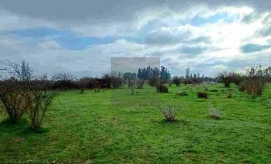 PARCELAS PLANAS NO INUNDABLES  CON ROL PROPIO VENTA AL CONTADO O CREDITO DIRECTO