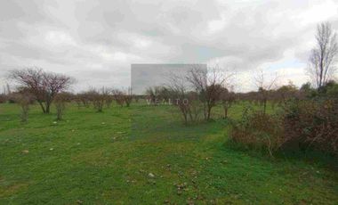 PARCELAS PLANAS NO INUNDABLES  CON ROL PROPIO VENTA AL CONTADO O CREDITO DIRECTO