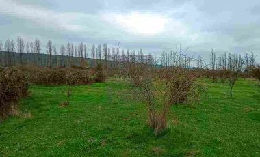 PARCELAS PLANAS NO INUNDABLES  CON ROL PROPIO VENTA AL CONTADO O CREDITO DIRECTO