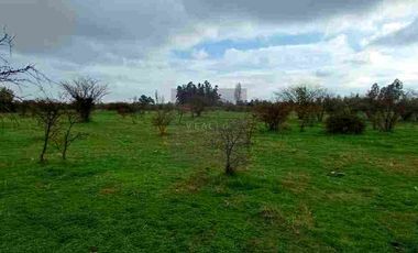 PARCELAS PLANAS NO INUNDABLES  CON ROL PROPIO VENTA AL CONTADO O CREDITO DIRECTO