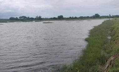 PUNONG FOR SALE ILOG NEGROS