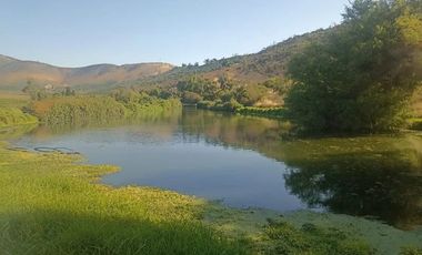 Venta De Parcela Agricola En Mallarauco