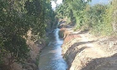 Venta De Parcela Agricola En Mallarauco