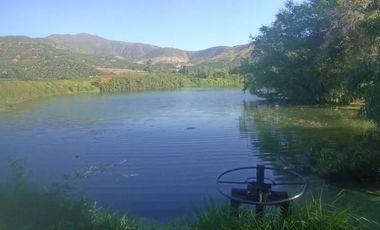 Venta De Parcela Agricola En Mallarauco