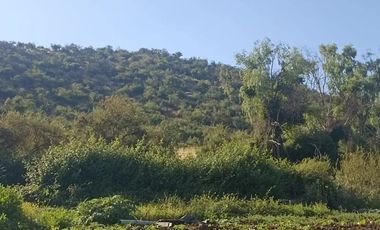 Venta De Parcela Agricola En Mallarauco