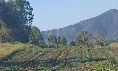 Venta De Parcela Agricola En Mallarauco