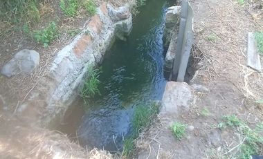 Venta De Parcela Agricola En Mallarauco