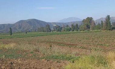Venta De Parcela Agricola En Mallarauco