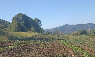 Venta De Parcela Agricola En Mallarauco