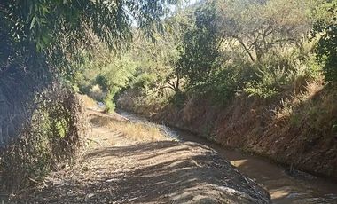 Venta De Parcela Agricola En Mallarauco